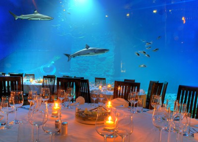 Tropen-Aquarium Hagenbeck in Hamburg