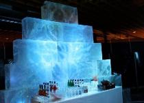 Eisbar in Hamburg