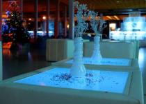 Eisbar in Hamburg